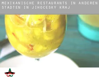 Mexikanische Restaurants in  Anderen Städten in Jihocesky kraj