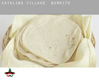 Catalina Village  Burrito