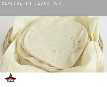 Ceviche in  Cedar Run
