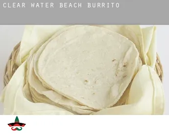 Clear Water Beach  Burrito