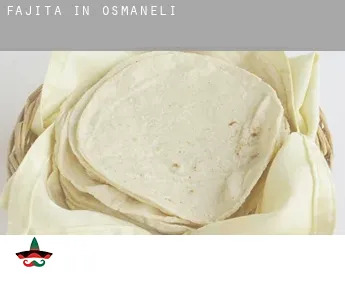 Fajita in  Osmaneli