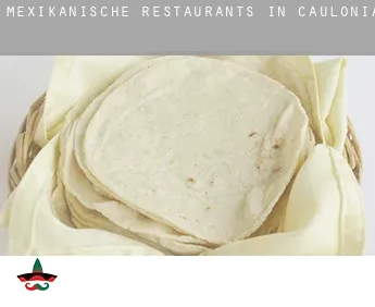 Mexikanische Restaurants in  Caulonia