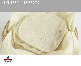 Newberry  Burrito