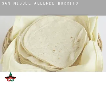 San Miguel de Allende  Burrito