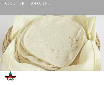 Tacos in  Tumauini