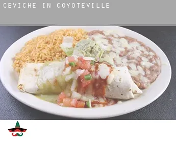 Ceviche in  Coyoteville