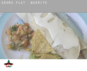 Adams Flat  Burrito