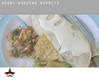 Adams Gardens  Burrito