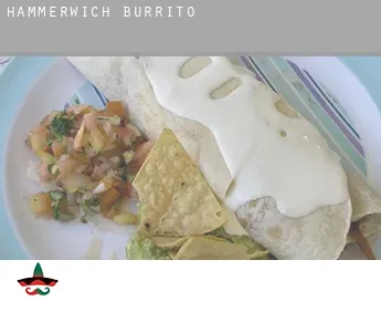 Hammerwich  Burrito