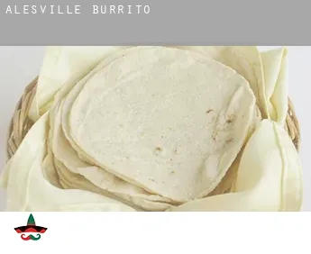 Alesville  Burrito
