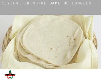 Ceviche in  Notre Dame de Lourdes
