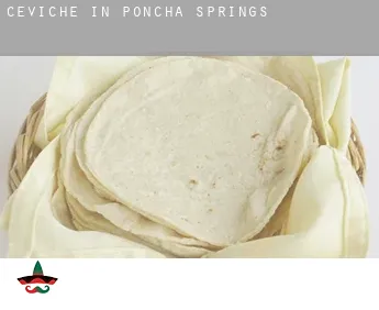 Ceviche in  Poncha Springs