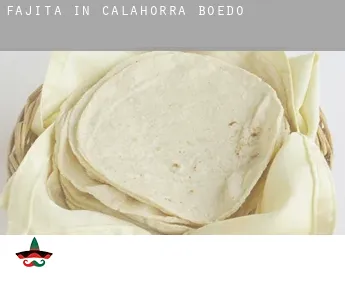 Fajita in  Calahorra de Boedo