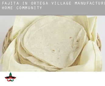 Fajita in  Ortega Village Manufactured Home Community