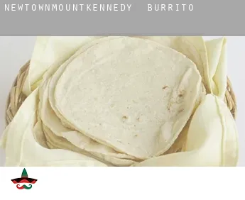 Newtownmountkennedy  Burrito