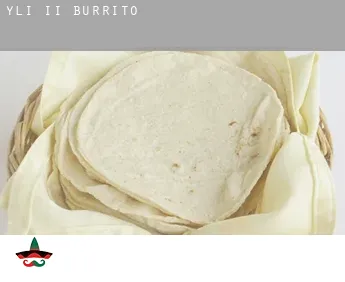 Yli-Ii  Burrito