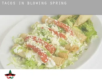Tacos in  Blowing Spring