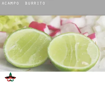 Acampo  Burrito