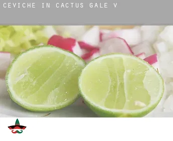Ceviche in  Cactus Gale V