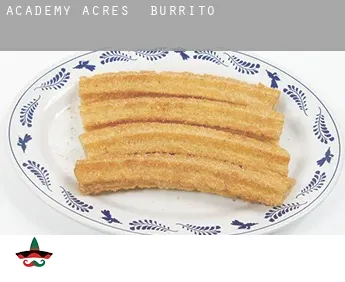 Academy Acres  Burrito