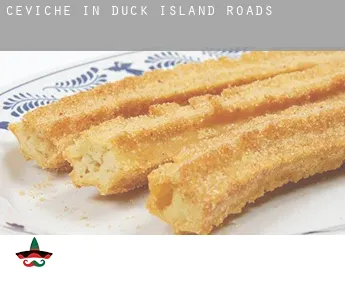 Ceviche in  Duck Island Roads