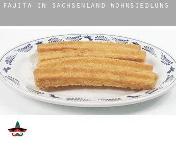 Fajita in  Sachsenland-Wohnsiedlung