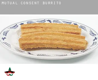 Mutual Consent  Burrito