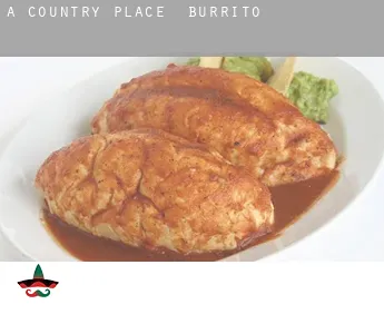 A Country Place  Burrito