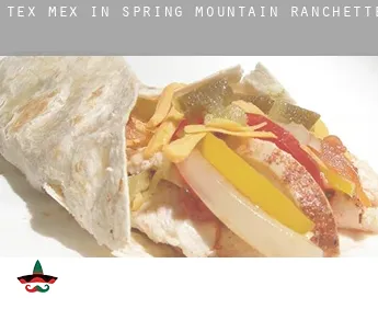 Tex mex in  Spring Mountain Ranchettes