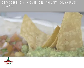 Ceviche in  Cove on Mount Olympus Place