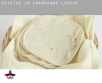 Ceviche in  Champagne-Lureau