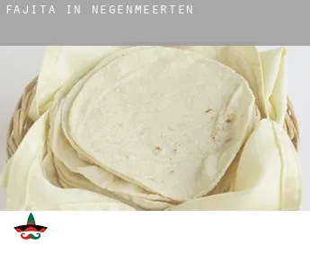 Fajita in  Negenmeerten