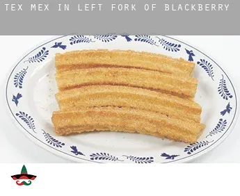 Tex mex in  Left Fork of Blackberry
