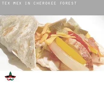 Tex mex in  Cherokee Forest