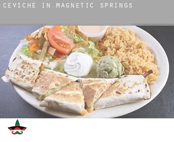 Ceviche in  Magnetic Springs