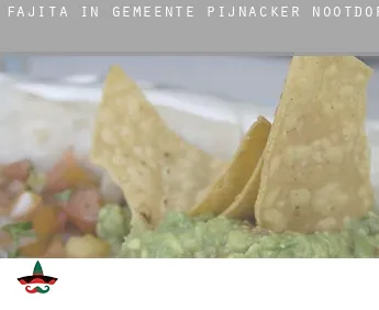 Fajita in  Gemeente Pijnacker-Nootdorp