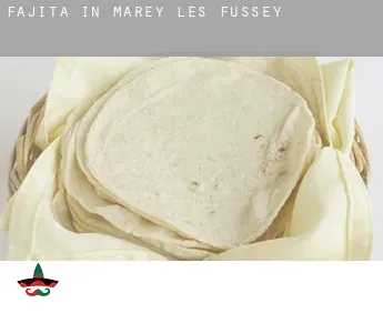 Fajita in  Marey-lès-Fussey