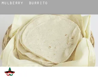 Mulberry  Burrito