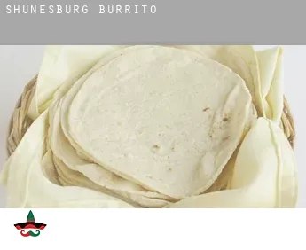 Shunesburg  Burrito