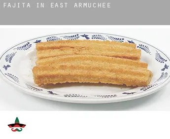 Fajita in  East Armuchee