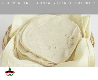 Tex mex in  Colonia Vicente Guerrero