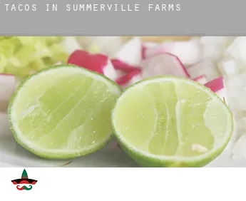 Tacos in  Summerville Farms