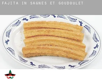 Fajita in  Sagnes-et-Goudoulet