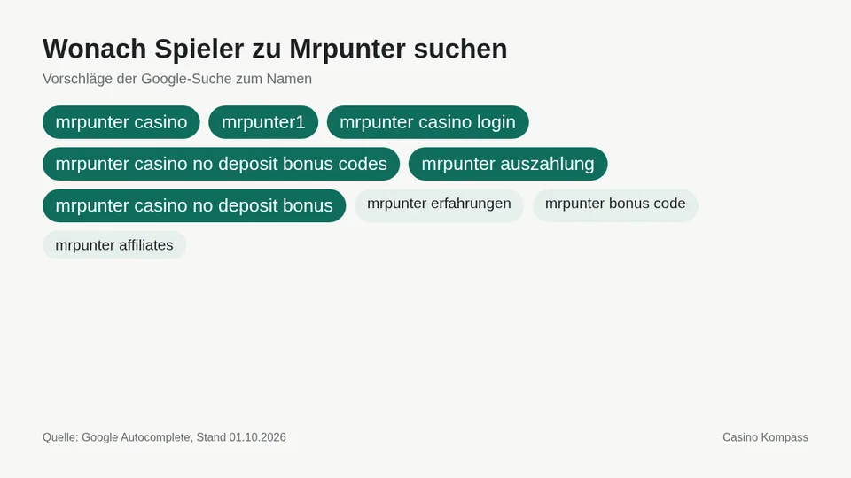 Google-Suchvorschläge zu Mrpunter